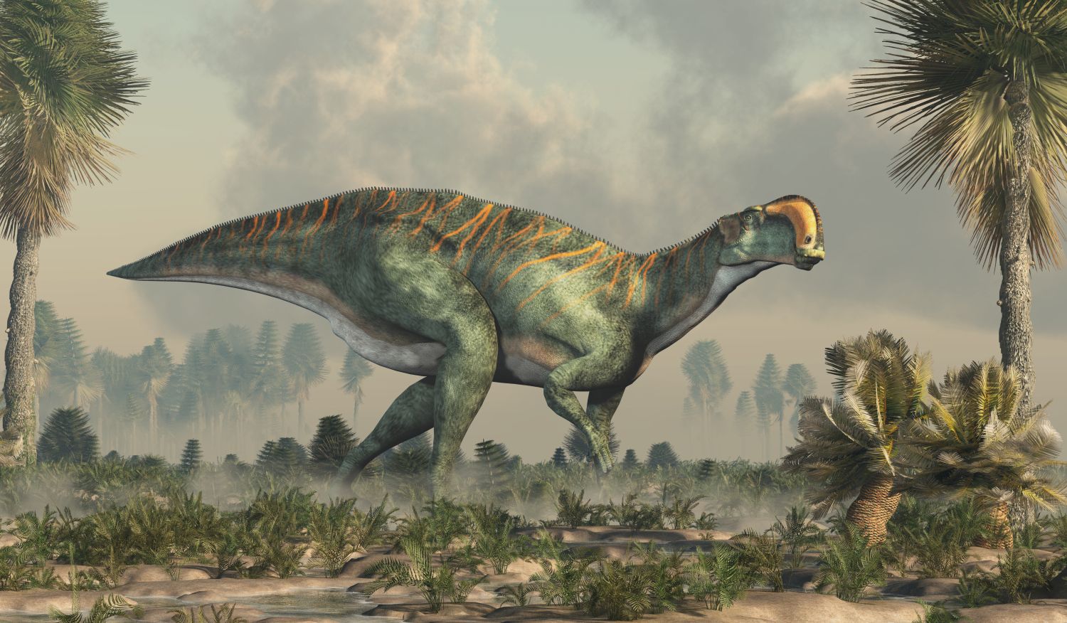 Altirhinus-dinosaurus